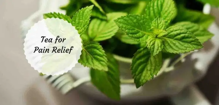 Best Herbal Teas for Pain Relief
