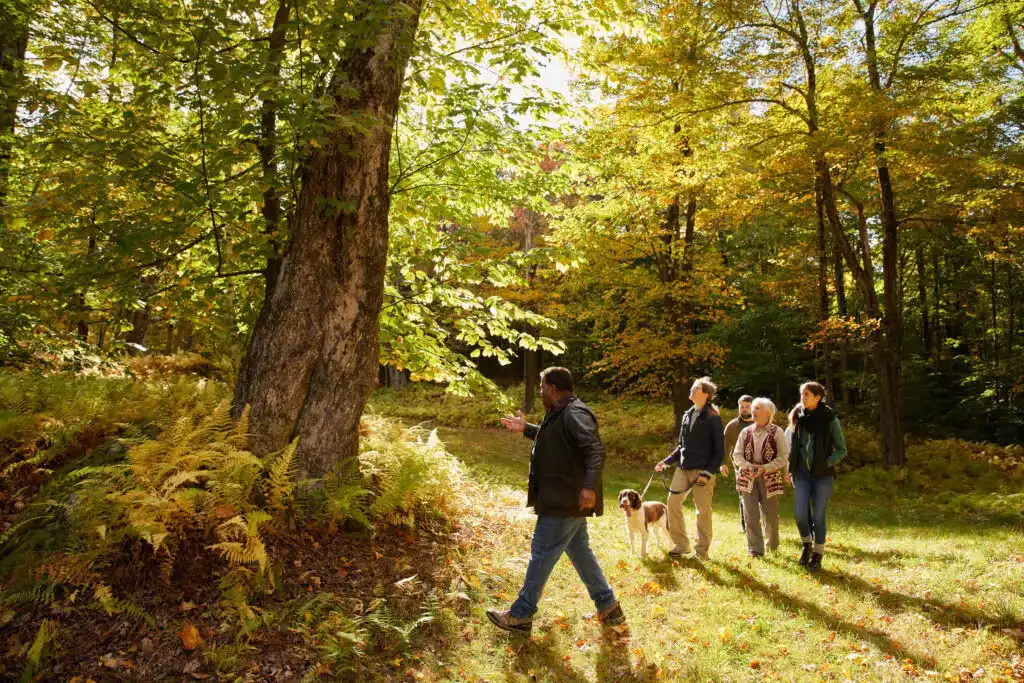 Why Natural Choices Are Growing